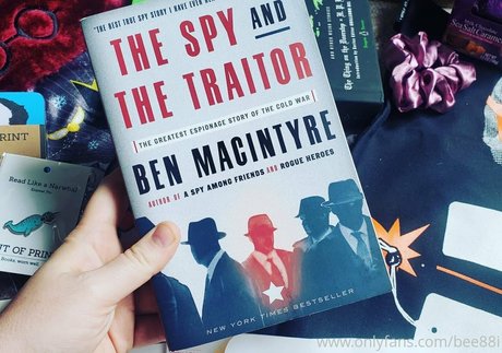 bee88i top star galerie