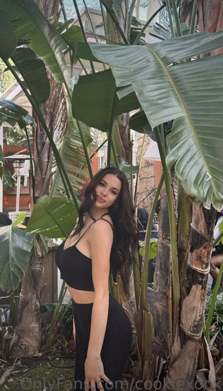 lesbiennes aux gros seins onlyfans chaud en haute qualité images