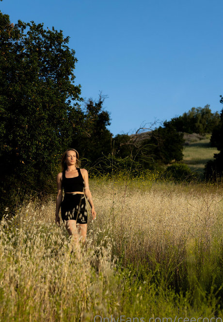 ceecoco nus étoiles photo