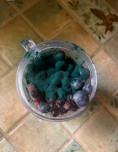 ceecoco meilleure étoile galeries