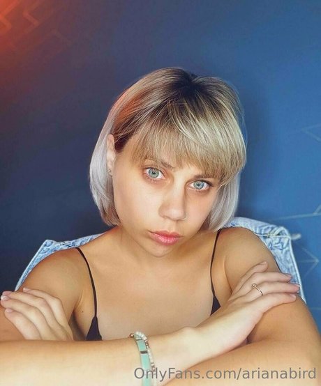 arianabird Fotoaufnahmen