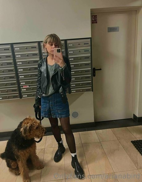 arianabird star du porno érotique img