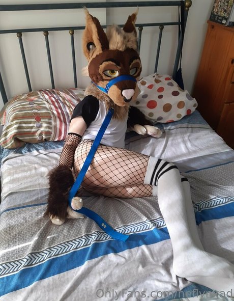 bikini ado onlyfans nus hd image