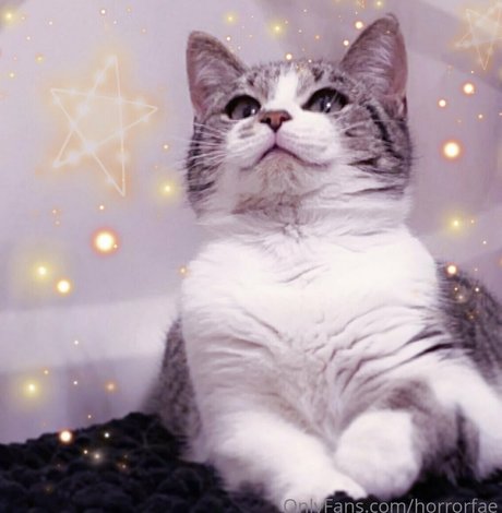 lewdfaerie étoile gratuite photos