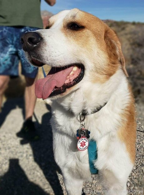 plage milf onlyfans meilleure exclusivité image