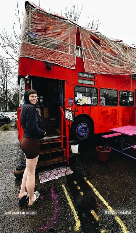 Ireland Baldwin modèle joli collection