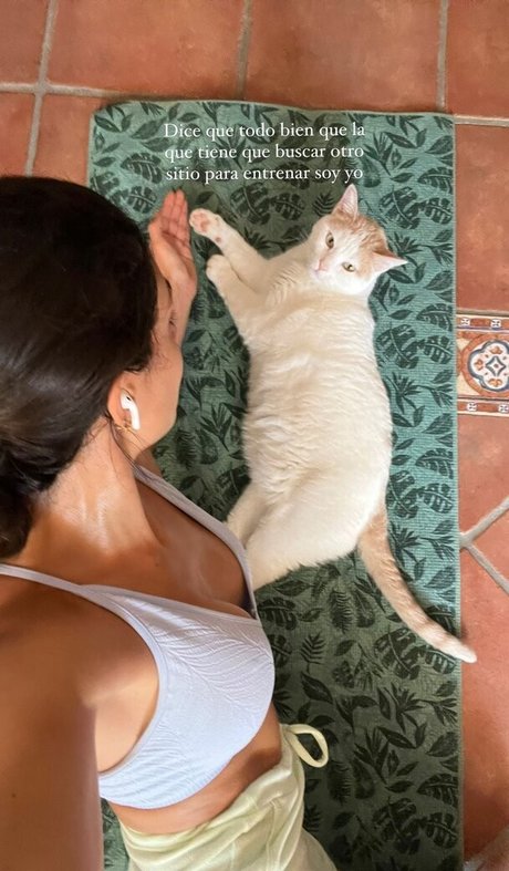 fans dia uniquement belle hd collection