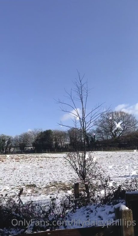 lilydaisyphillips étoile sympa photos