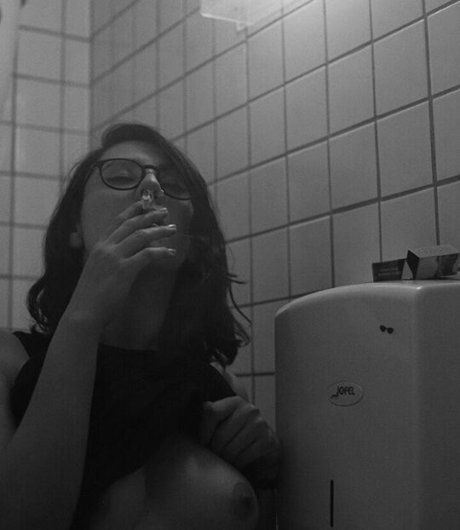 Carrenopol modèle hd collection