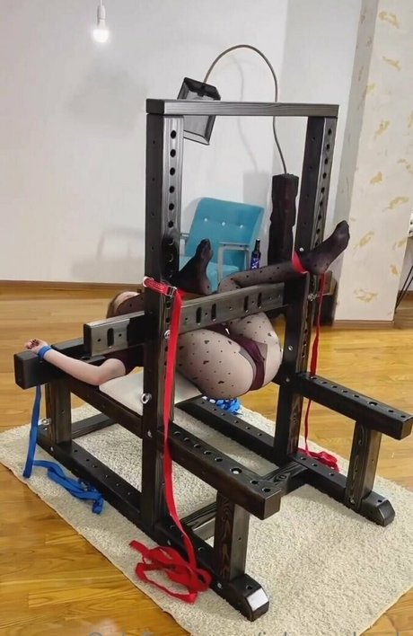 johnx shock meilleure star du porno img