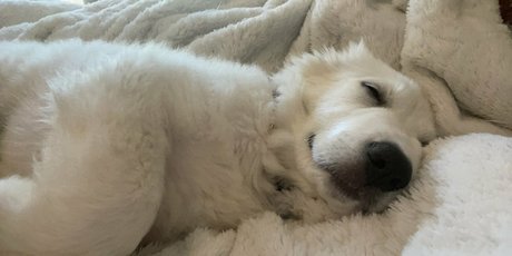 kittenginger modèle sexy archive