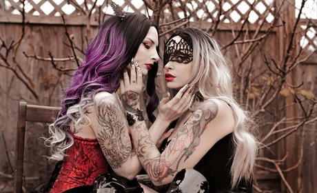 vanphell étoile gratuite collection