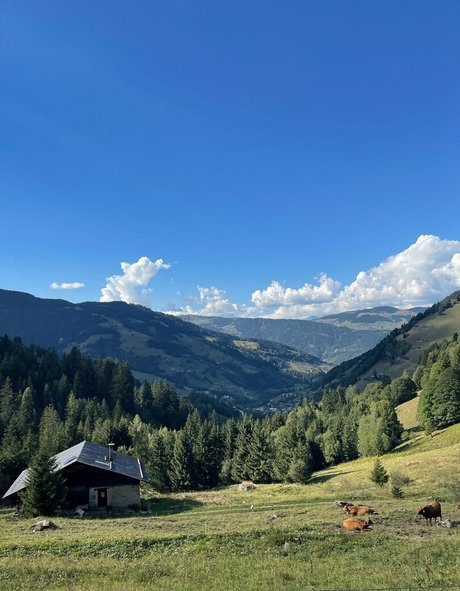 femme nue onlyfans adulte érotique img