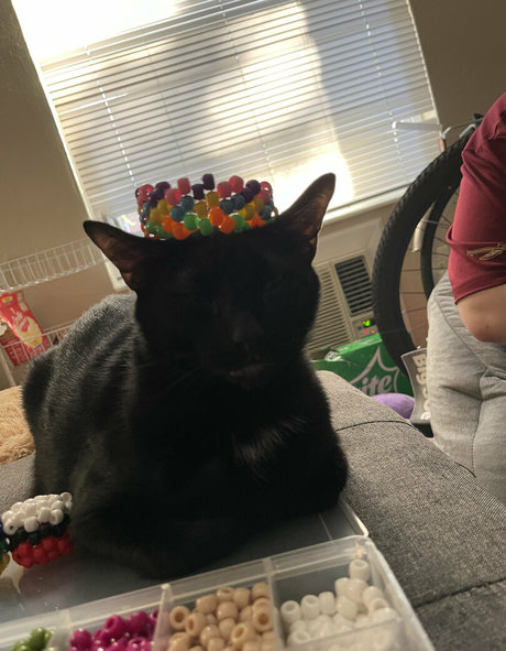 bbw pawg uniquementfans libre nu galeries