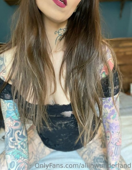 aliinwunderland étoile galerie