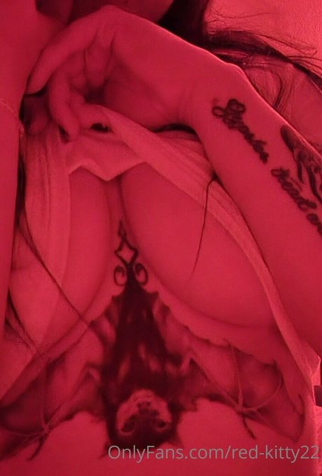red kitty22 Fotoaufnahmen