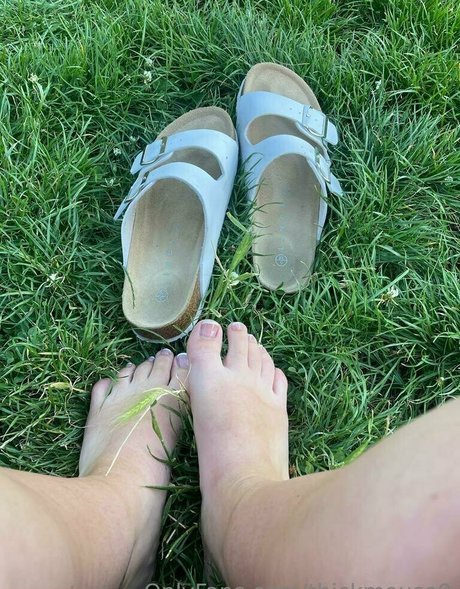 thickmouse9 nus étoiles images