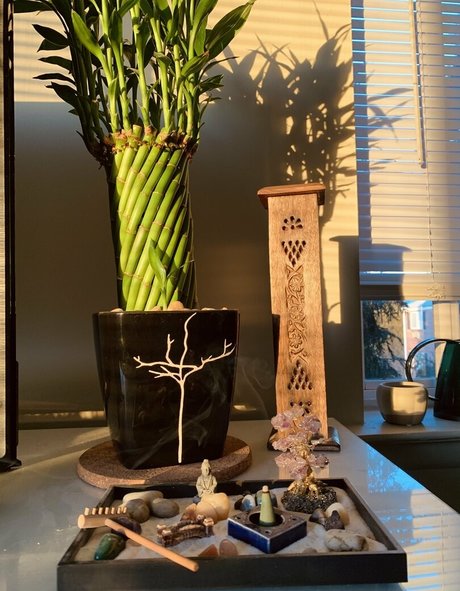 cutestonergirl01 modèle pornographique galerie