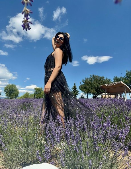 fans de gothique asiatique uniquement haute qualité parfait collection