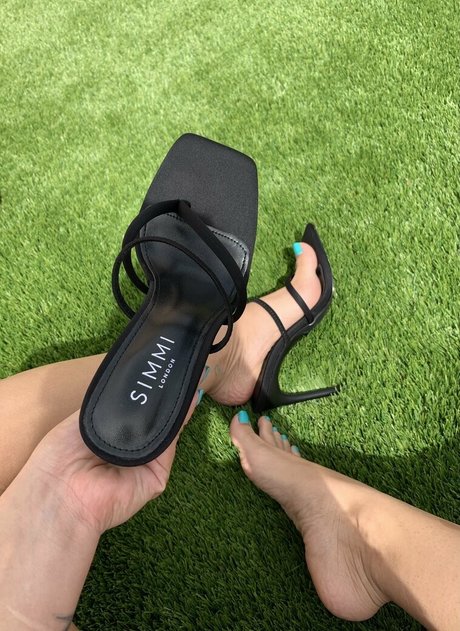 torothadon étoile parfaite images