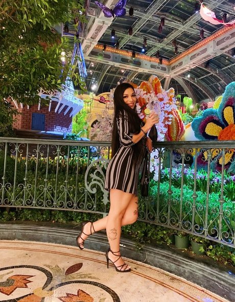 torothadon modèle artistique collection