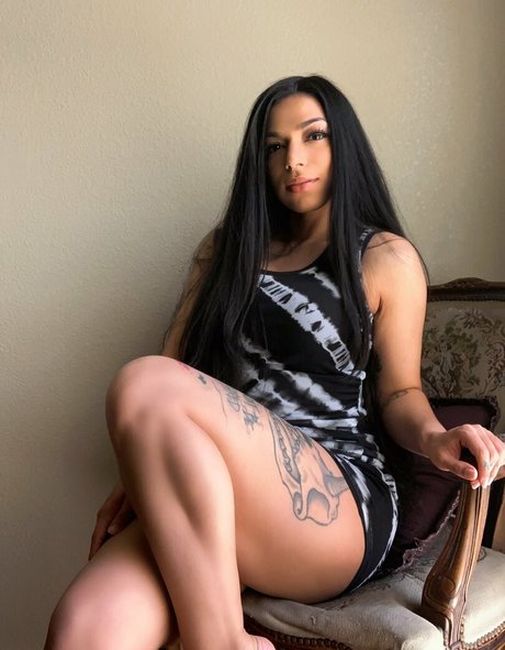 torothadon étoile chaude image