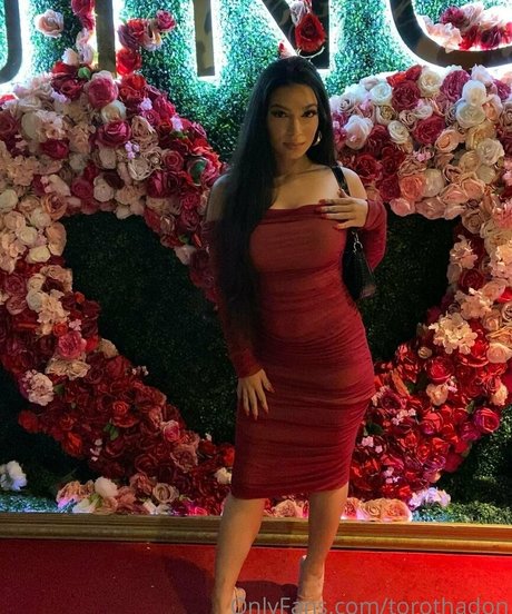 torothadon star du porno adulte img