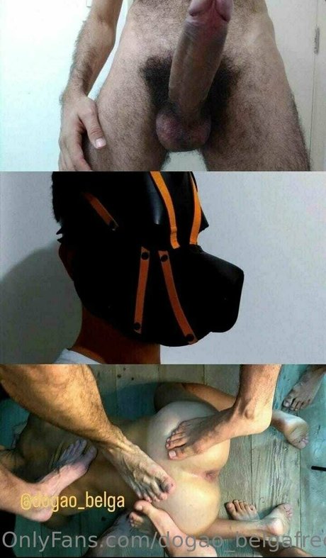 dogao belgafree étoile gratuite img