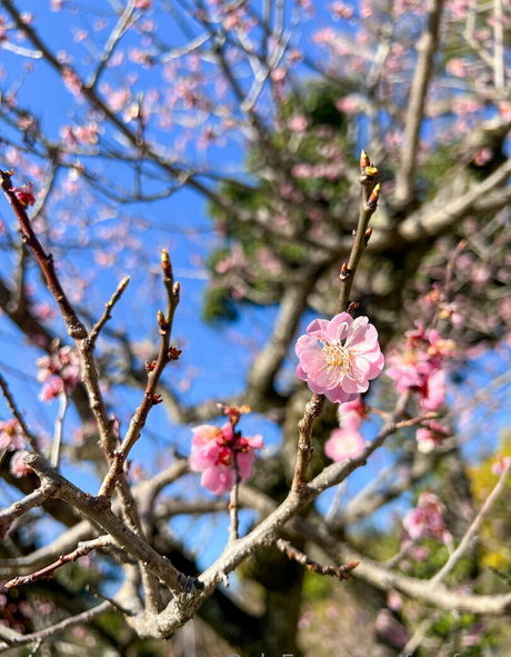 fétichisme des pieds ébène onlyfans hd exclusif des photos