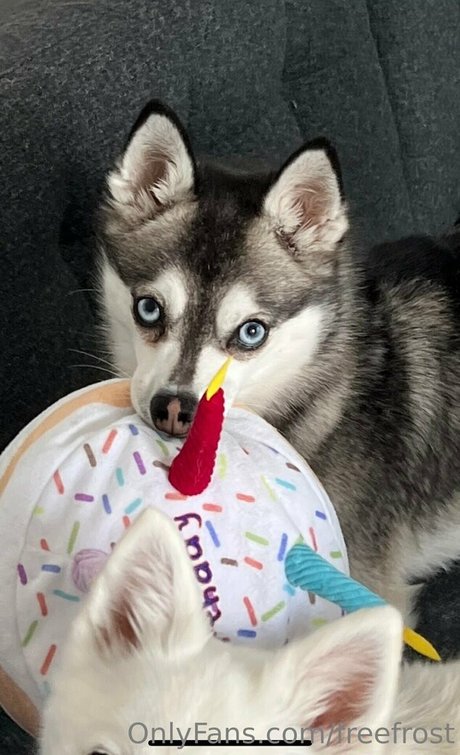 latines aux gros culs, fans uniquement joli art des photos