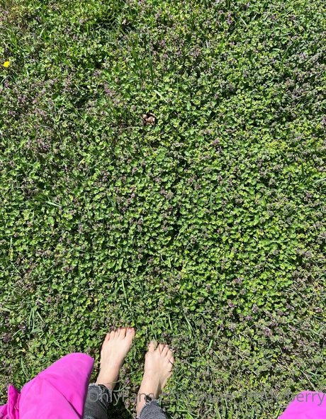 swee tstrawberry meilleure étoile photos