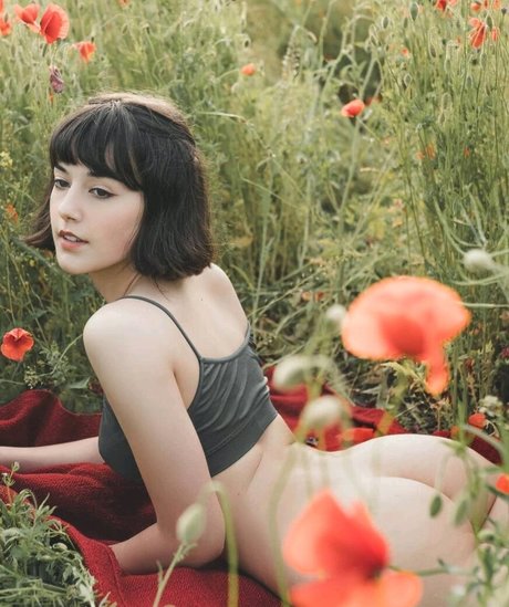 fans trans noirs uniquement porno meilleur des photos