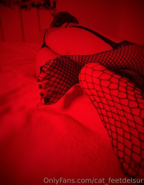 cat feetdelsur modèle artistique images