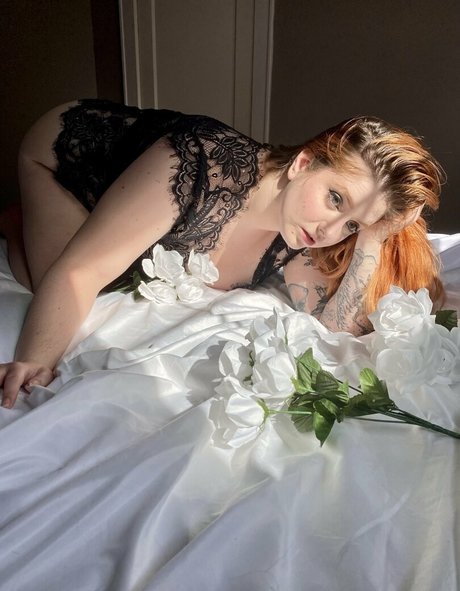 ivydelacourte étoile hd archive