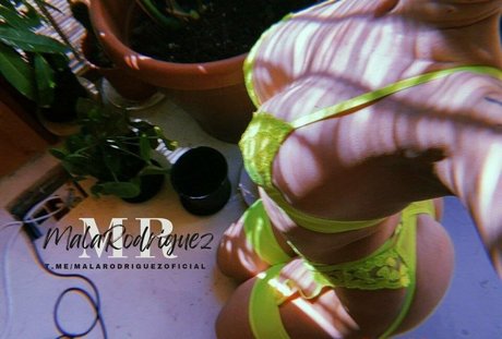 Mala Rodriguez haut étoile des photos