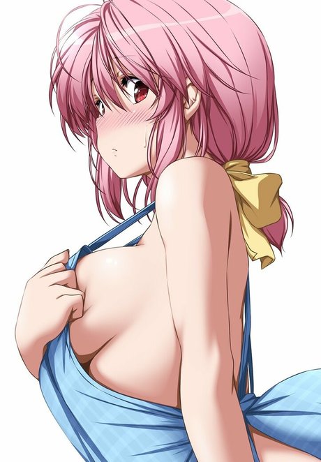 Touhou Project modèle parfait photo