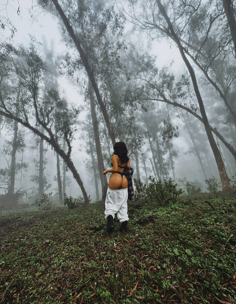 loi need star du porno sympa galeries