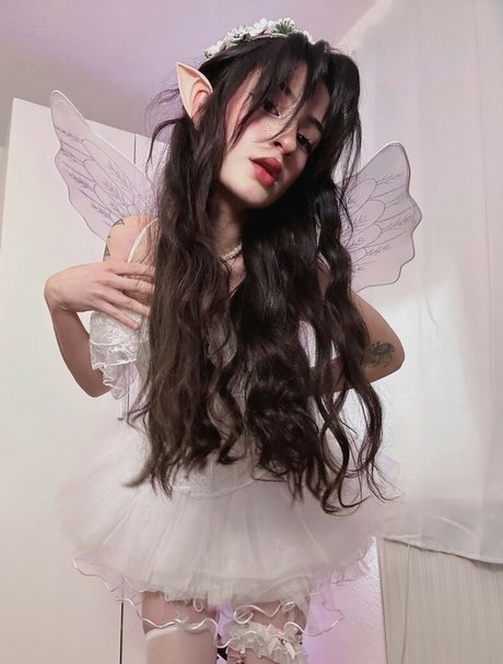 Salinono modèle nu archive