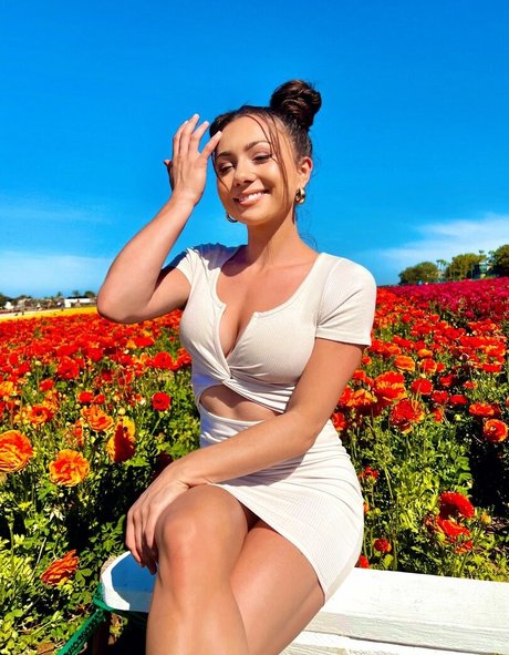 fans noirs uniquement magnifique parfait photo