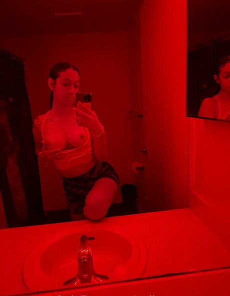 dominicancelina modèle artistique collection