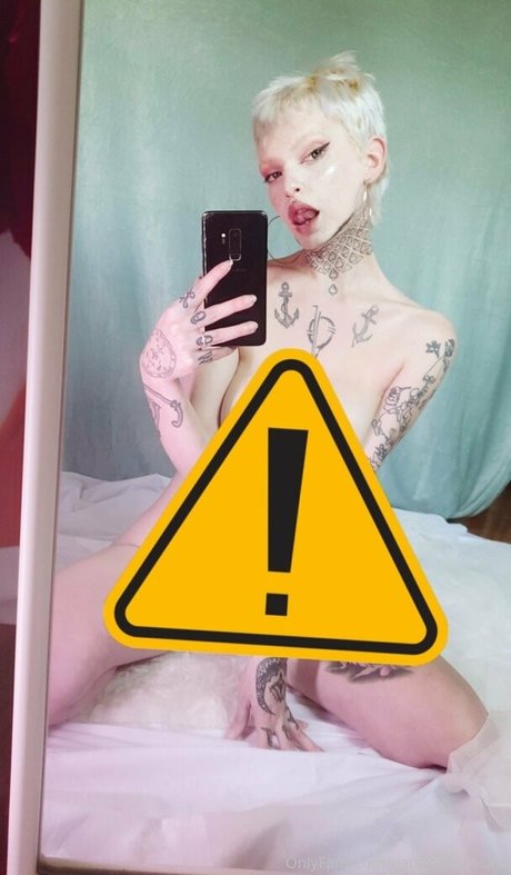 chaton courbé onlyfans top exclusif photos