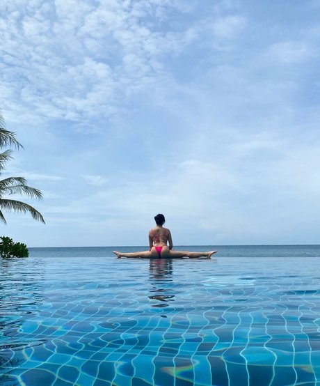 anysia x star du porno exclusive collection