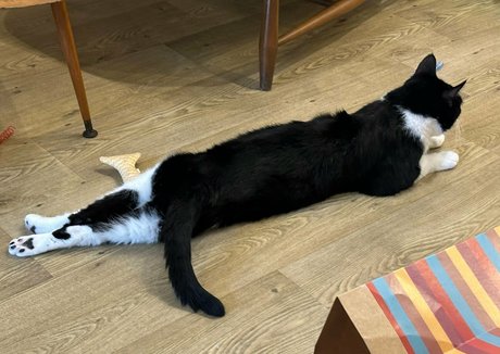 footjob pour ados uniquementfans nue en haute qualité image