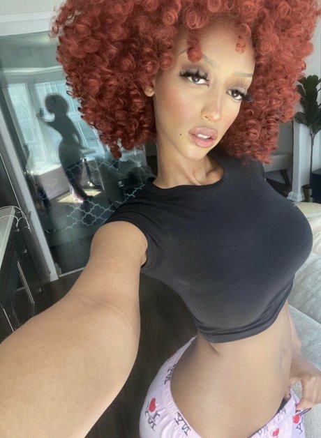 Solaya Ismail actrice de sexe collection