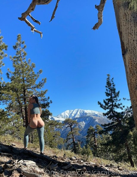 caracamifree modèle artistique image