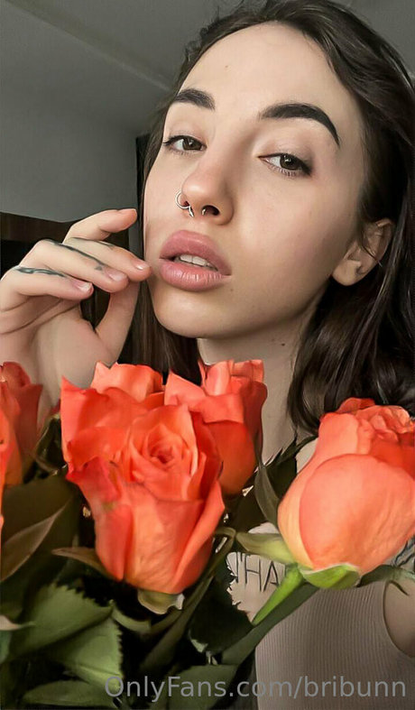 bribunn meilleure étoile galerie