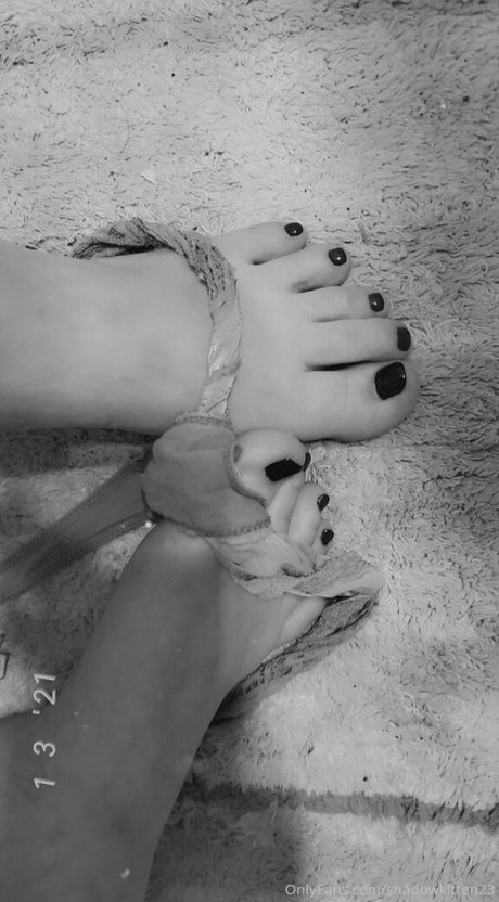 shadowkitten23 art star du porno photo