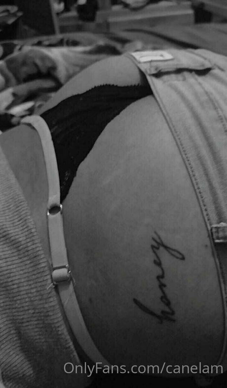 canelam modèle sexy image