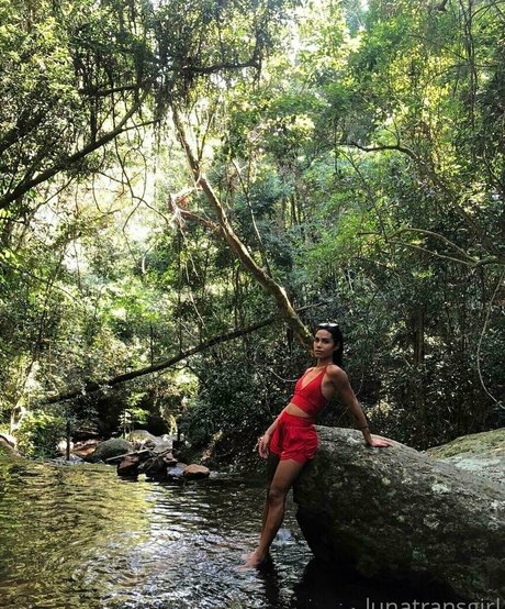 lunalacerda étoile hd images