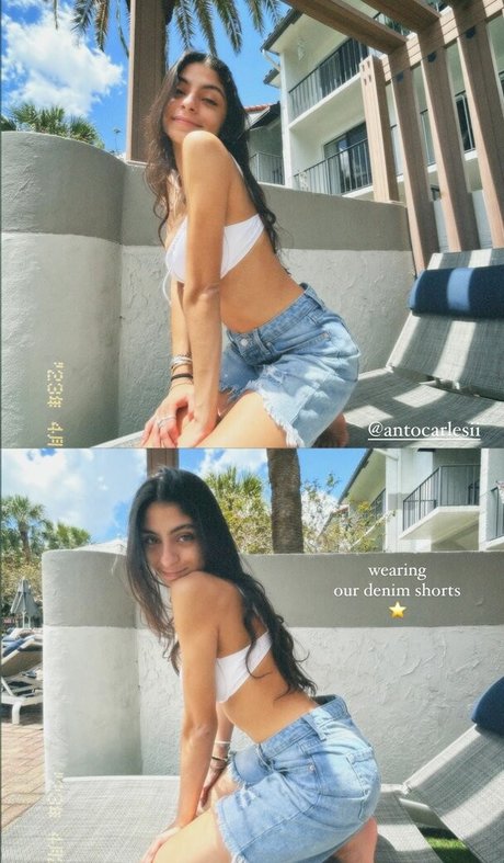 Antocarlesii star du porno xxx image